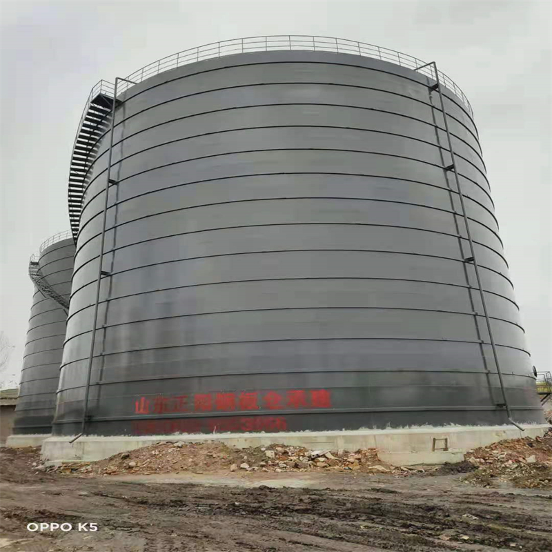 安定3万吨大型钢板库